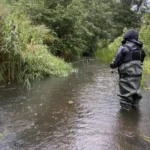 Jõeforelli püük kahlates