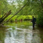 Brown trout fishing